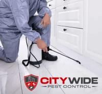 City Wide Pest Control Adelaide image 7